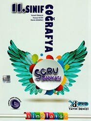 Yayın Denizi Yayınları 11. Sınıf Pro Coğrafya Soru Bankası - Yayın Denizi Yayınları