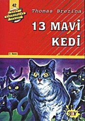 13 Mavi Kedi - Say Çocuk