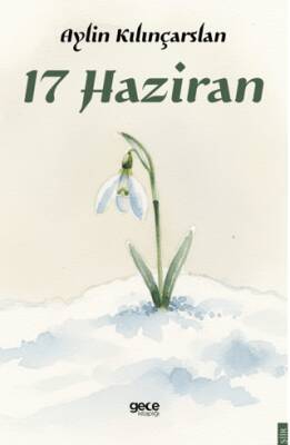 17 Haziran - 1