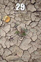 29 - Mardin Yolunda - Cinius Yayınları