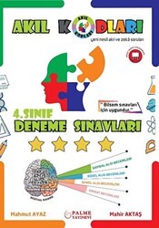 4. Sınıf Akıl Kodları Deneme Sınavı - Palme Yayınları