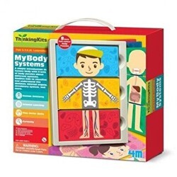 4M My Body Systems Vucüt Sistemimiz - 4M