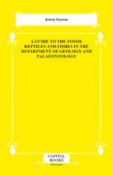 A Guide to the Fossil Reptiles and Fishes in the Department of Geology and Palaeontology - Capitol Books