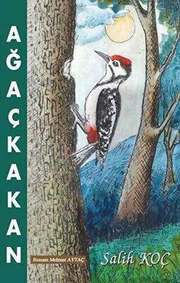Ağaçkakan - 1