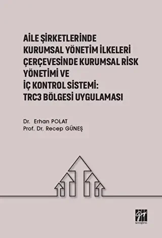 Aile Şirketlerinde Kurumsal Yönetim İlkeleri Çerçevesinde Kurumsal Risk Yönetimi ve İç Kontrol Sistemi: Trc3 Bölgesi Uygulaması - 1