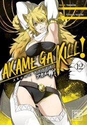 Akame, Keser 12 - Athica Yayınları