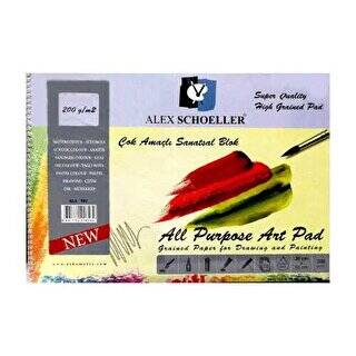 Alex Scholler Çok Amaçlı Çizim Defteri 35x50 200gr 15 Sayfa - 1