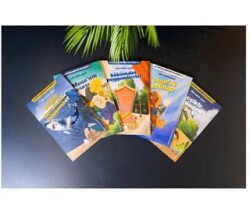 Ali Peygamberler Diyarında 2. Set 5 kitap - Güzergah Yayınları