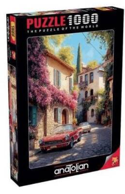 Anatolian Begonvil Sokak - 1