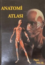 Anatomi Atlası - Bedray Yayınevi