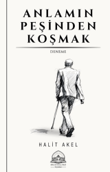 Anlamın Peşinden Koşmak - Biruni Külliyesi Yayınları