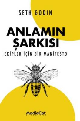 Anlamın Şarkısı - 1