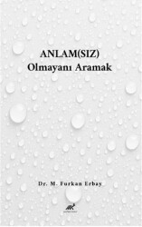 Anlamsız Olmayanı Aramak - Paradigma Akademi Yayınları