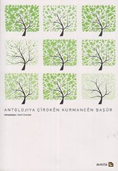 Antolojıya Çıroken Kurmancen Başur - Avesta Yayınları