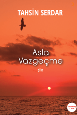 Asla Vazgeçme - 1