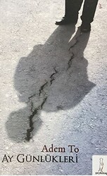 Ay Günlükleri - Şey Kitap