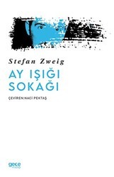 Ay Işığı Sokağı - Gece Kitaplığı