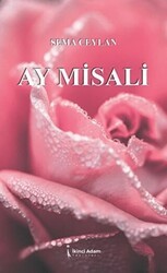 Ay Misali - İkinci Adam Yayınları