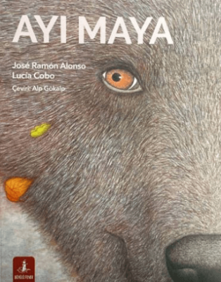Ayı Maya - 1