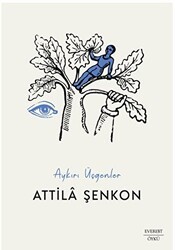 Aykırı Üçgenler - Everest Yayınları