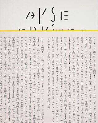 Ayşe Erkmen: Whitish - 1