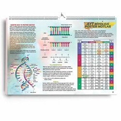 AYT Biyoloji Poster Notlar - KR Akademi Yayınları
