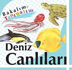 Bakalım Tanıyalım: Deniz Canlıları - Final Kültür Sanat Yayınları