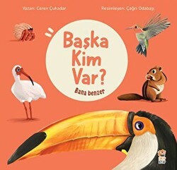 Bana Benzer - Başka Kim Var - Sincap Kitap