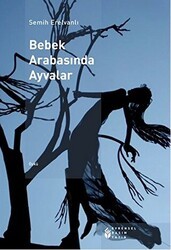 Bebek Arabasında Ayvalar - Evrensel Basım Yayın