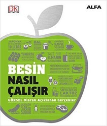 Besin Nasıl Çalışır - Alfa Yayınları