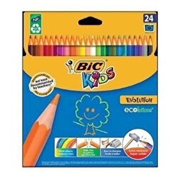 Bic Evolution Kuru Boya Kalemi 24`lü Kutu - Bic
