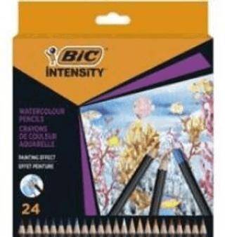Bic İntensity Aquacouleur Kuru Sulu Boya 24 Renk - 1