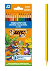 Bic Smooth Kuru Boya Kalemi 12 Renk - Bic