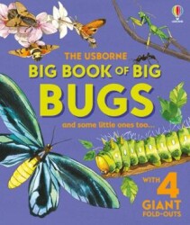 Big Book of Big Bugs - Usborne
