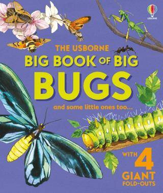 Big Book of Big Bugs - 1
