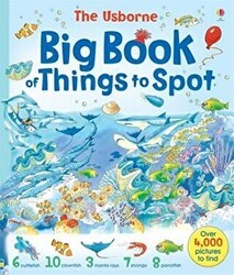 Big Book of Things to Spot - Usborne