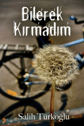 Bilerek Kırmadım - Cinius Yayınları