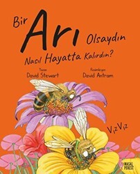 Bir Arı Olsaydın Nasıl Hayatta Kalırdın? - Masalperest