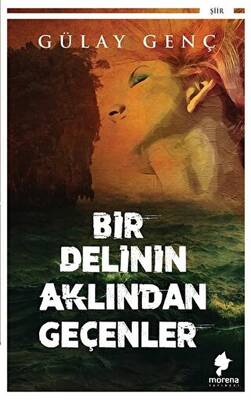 Bir Delinin Aklından Geçenler - 1