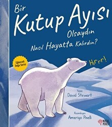 Bir Kutup Ayısı Olsaydın Nasıl Hayatta Kalırdın? - Masalperest