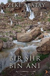 Bir Şiir Bin Anı - Cinius Yayınları