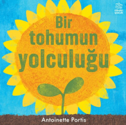 Bir Tohumun Yolculuğu - İthaki Çocuk Yayınları