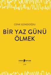 Bir Yaz Günü Ölmek - Edebi Şeyler