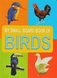 Birds My Small Board Book Of - Dreamland Publications