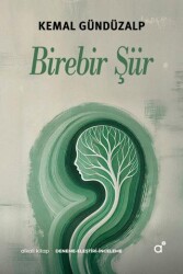 Birebir Şiir - Alkali Kitap