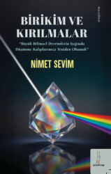 Birikim ve Kırılmalar - Şey Kitap