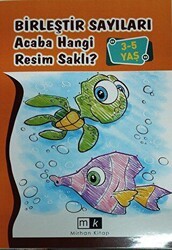 Birleştir Sayıları Acaba Hangi Resim Saklı ? 3-5 Yaş - Mirhan Kitap