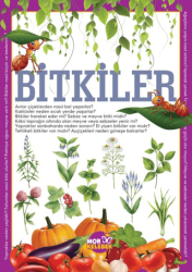 Bitkiler - Mor Kelebek