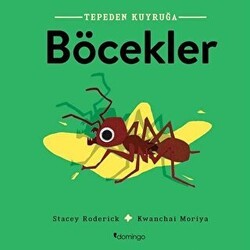 Böcekler - Tepeden Kuyruğa - Domingo Yayınevi