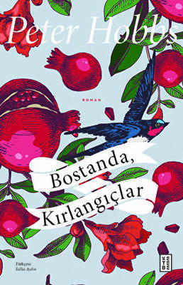 Bostanda, Kırlangıçlar - 1